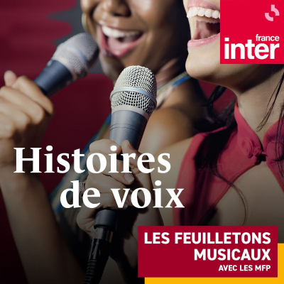 episode Histoires de voix 3/9 : Les voix et les blessures de l’enfance artwork