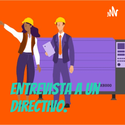 Entrevista a un Directivo.