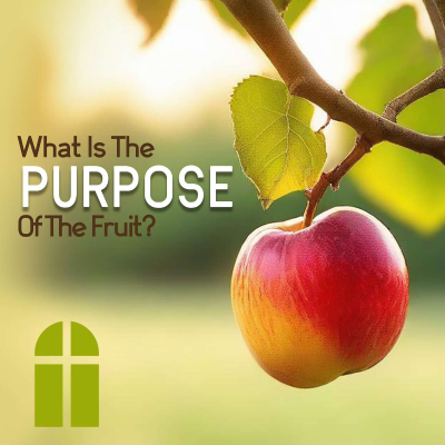 episode What Is The Purpose Of The Fruit - Sunday PM 07/20/2025 - Pastor Bob Gray II artwork