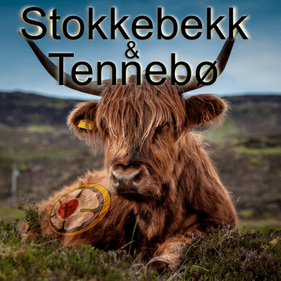 Stokkebekk & Tennebø