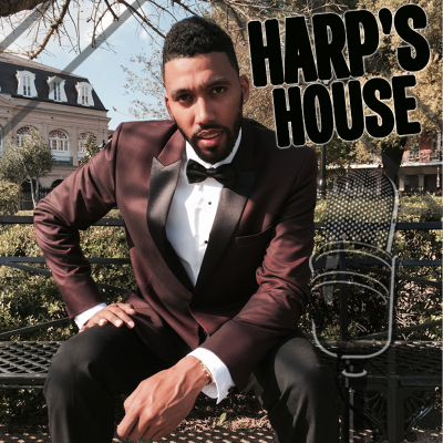 episode Harp's House #15: Conversation with Dr. Ally Hicks about the untimely death of ex-NFL star Aaron Hernandez artwork