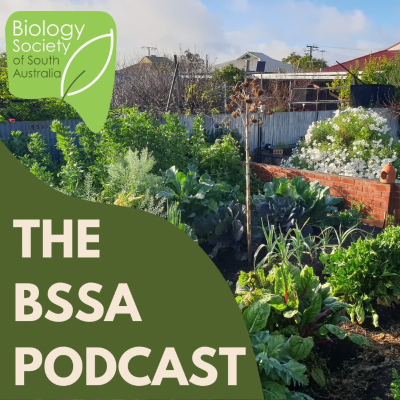 episode Ep. 19 - Urban Agriculture: Communities & Climate with Hannah Thwaites artwork