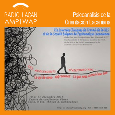 RadioLacan.com | Entrevista a Daniel Roy en la 6ta jornadas de la BSLP de la NLS