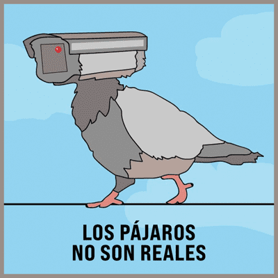 episode Los pájaros no son reales artwork