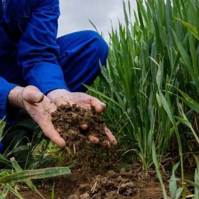 episode Nitrates and Habitats artwork