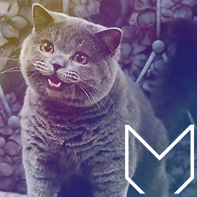 episode Mojoverso 200. Mojo2000s. artwork