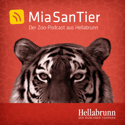 episode Seepferdchen und Seegraswiesen artwork