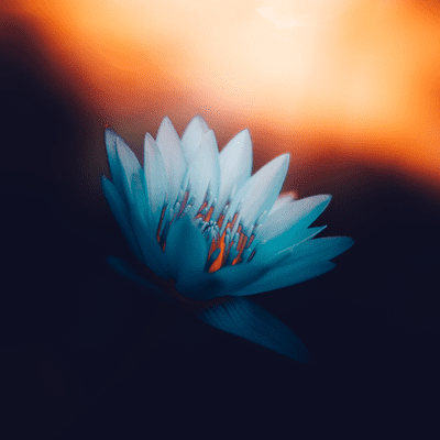 episode Otuzu devirenler artwork