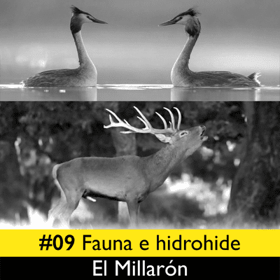 episode #09 El Millarón. Fauna e hidrohide artwork