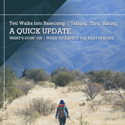 episode A Quick Update | What's Goin' On | When to Expect the Next Episode artwork