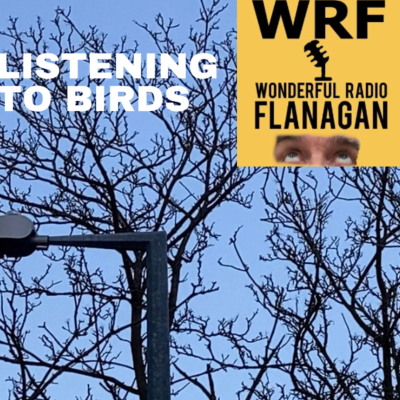 episode Listening To Birds In The Street artwork