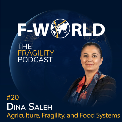 episode #20 – Dina Saleh: Agriculture, Fragility, and Food Systems artwork
