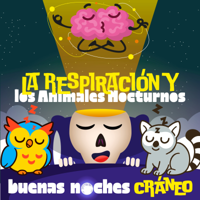 episode Respiración y Animales Nocturnos (calma) artwork