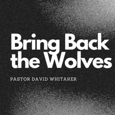 episode “Bring Back The Wolves” -Pastor David Whitaker artwork