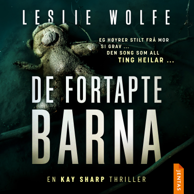 De fortapte barna cover