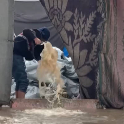 episode 11 dicembre 2025 - Notiziario Mondo artwork