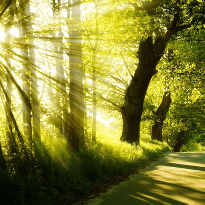 Nature Calm Music Sounds Relaxation Background Music On Podimo