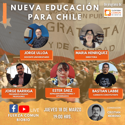 episode Educación publica y nueva constitución artwork