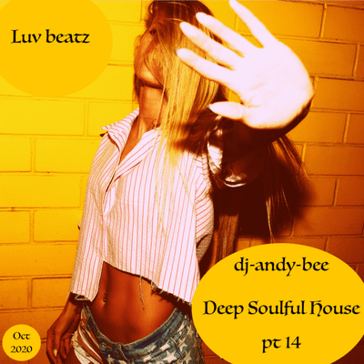 episode Deep Soulful House pt 14 artwork
