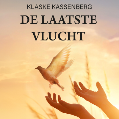 Cover image De laatste vlucht