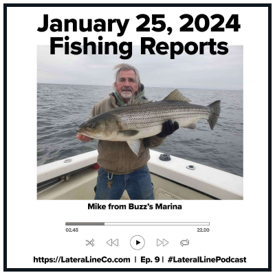 episode Fishing Reports: East Coast and Chesapeake Bay Saltwater Fishing Reports updated January 25, 2024 artwork