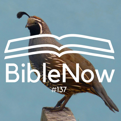 episode BibleNow #137: 4. Mose 11,24-12,16 artwork