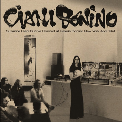 episode Suzanne Ciani Buchla Concert At Galeria Bonino New York April 1974 (Excerpt) artwork
