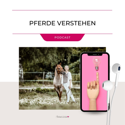 episode Pferde verstehen – Die ersten Schritte artwork