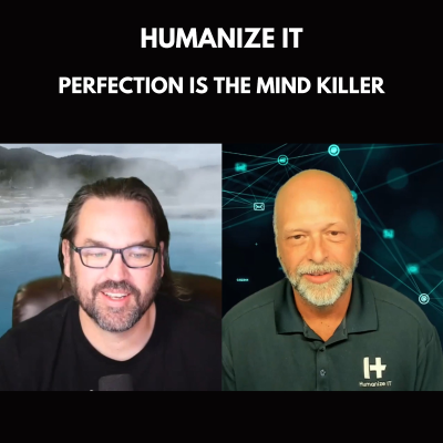 episode Perfection is the mind killer artwork