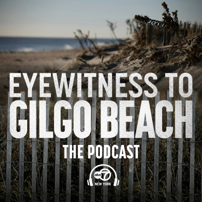 episode GILGO BEACH E12: Sickening 'planning document' of murders artwork