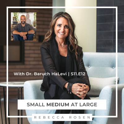 episode The Power of the Enneagram and Soul Contracts With Dr. Baruch HaLevi | S03.E12 artwork