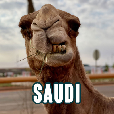 episode SAUDI-ARABIEN: Kameler, CouchSurfing og verdens højeste tårn der gik i stå artwork