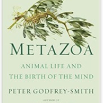 Episode 586: Metazoa Peter Godfrey-Smith