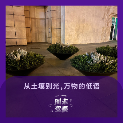episode 从土壤到光，万物的低语 artwork