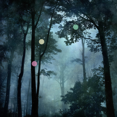 episode Lluvia Ligera Nocturna en el Bosque artwork