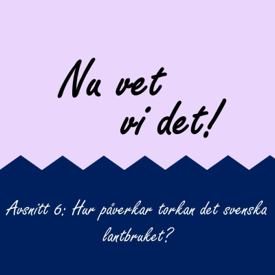 episode Avsnitt 6: Hur påverkar torkan det svenska lantbruket (och hur kan vi hjälpa?)? artwork
