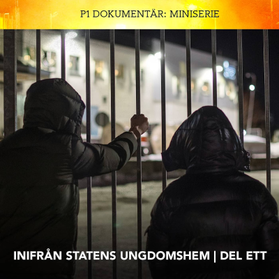 episode Inifrån statens ungdomshem – Mördare till salu | Del 1/3 (R) artwork