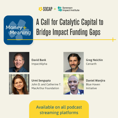 episode A Call for Catalytic Capital to Bridge Impact Funding Gaps artwork
