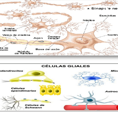 Podcast Las Neuronas