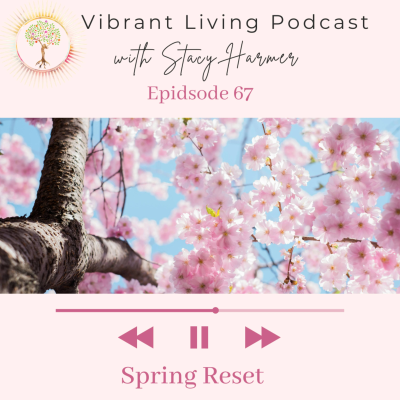 episode 67. Spring Reset artwork