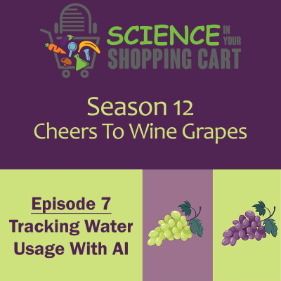 episode Season 12: Cheers To Wine Grapes | Episode 7: Tracking Water Usage With AI artwork
