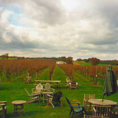 episode Episode 114: Long Island Wine, pt. 2 artwork