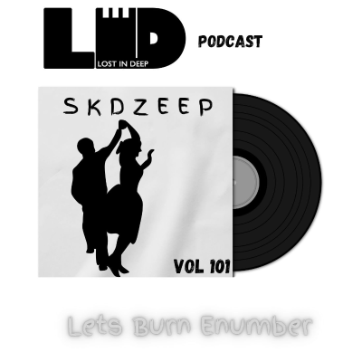 episode Lost In Deep Podcasts Vol 101 Mixed By SKDZeep Lets Burn Enumber artwork