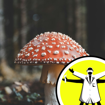 episode How fungi shape our world artwork