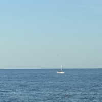 MartaRomeu