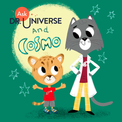 episode Your Paw-some Question | Why do we have two intestines? artwork
