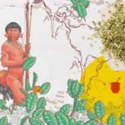 episode 669. La Yerba Mate (leyenda Guaraní) artwork