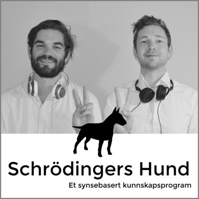 Schrödingers Hund