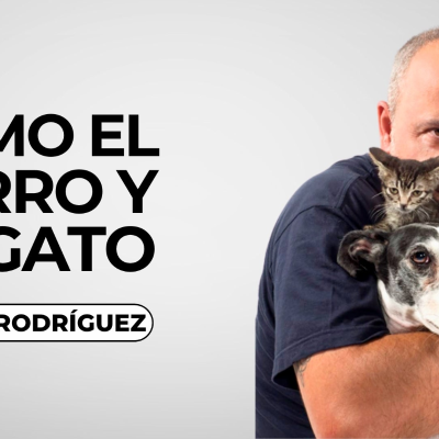 episode Como el perro y el gato 22/06/2025 artwork
