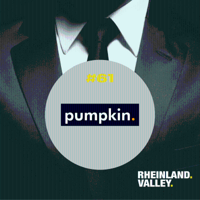 episode #61 - mit David Döbele - Co-Founder bei pumpkincareers - #StartupGruender artwork